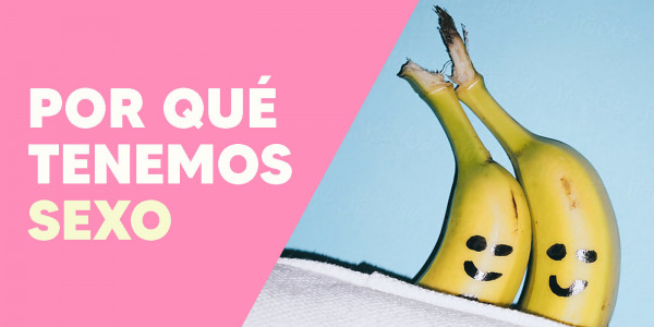 ¿Por qué tenemos sexo? - Aprende cómo encontrar la felicidad sexual en pareja